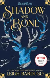 Omslag van Shadow and Bone