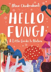 Omslag van Little Guides to Nature: Hello Fungi A Little Guide to Nature