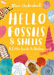 Omslag van Little Guides to Nature: Hello Fossils and Shells