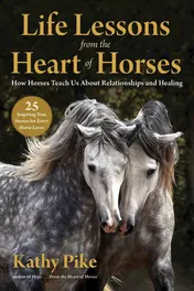 Omslag van Life Lessons from the Heart of Horses How Horses Teach Us About Relationships and Healing