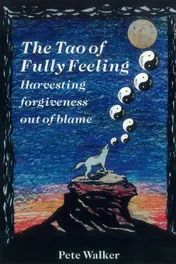 Omslag van The Tao of Fully Feeling Harvesting Forgiveness Out of Blame