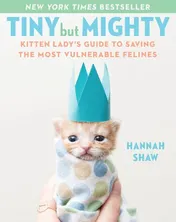 Omslag van Tiny But Mighty Kitten Lady's Guide to Saving the Most Vulnerable Felines