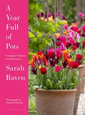 Omslag van A Year Full of Pots Container Flowers for All Seasons