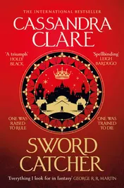 Omslag van Sword Catcher