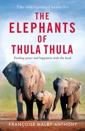 Omslag van The Elephants of Thula Thula Finding Peace and Happiness with the Herd