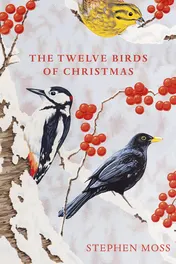 Omslag van The Twelve Birds of Christmas