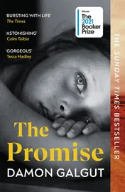 Omslag van The Promise