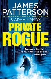 Omslag van Private Rogue (Private 16)