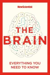 Omslag van The Brain Everything You Need to Know