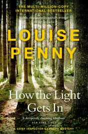 Omslag van How the Light Gets In (a Chief Inspector Gamache Mystery Book 9)