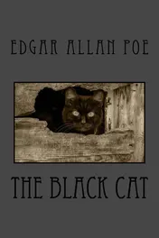 Omslag van The Black Cat