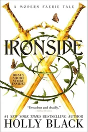 Omslag van Ironside A Modern Faerie Tale