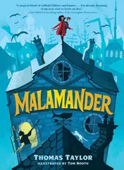 Omslag van Malamander