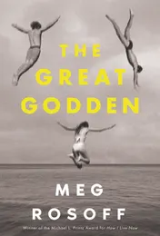 Omslag van The Great Godden