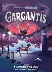 Omslag van Gargantis