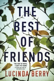 Omslag van The Best of Friends