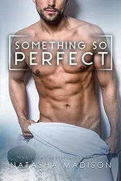 Omslag van Something So Perfect