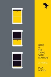 Omslag van Grief Is the Thing with Feathers A Novel