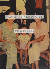 Omslag van Night Sky with Exit Wounds
