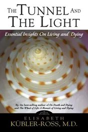 Omslag van The Tunnel and the Light Essential Insights on Living and Dying