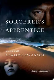 Omslag van Sorcerer's Apprentice My Life with Carlos Castaneda