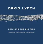 Omslag van Catching the Big Fish Meditation, Consciousness, and Creativity