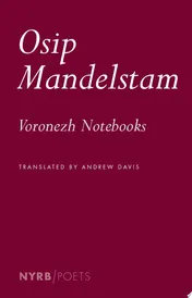 Omslag van Voronezh Notebooks