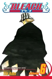 Omslag van Bleach, Vol. 6