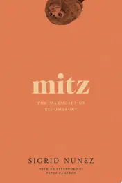 Omslag van Mitz The Marmoset of Bloomsbury