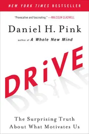 Omslag van Drive The Surprising Truth About What Motivates Us