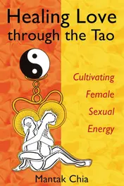 Omslag van Healing Love through the Tao Cultivating Female Sexual Energy