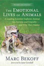 Omslag van The Emotional Lives of Animals A Leading Scientist Explores Animal Joy, Sorrow, and Empathy — and Why They Matter