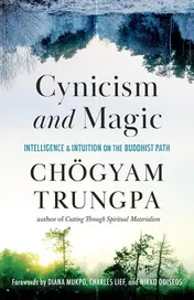Omslag van Cynicism and Magic Intelligence and Intuition on the Buddhist Path