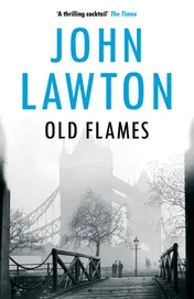 Omslag van Old Flames