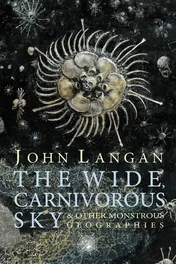 Omslag van The Wide, Carnivorous Sky and Other Monstrous Geographies