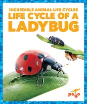 Omslag van Life Cycle of a Ladybug