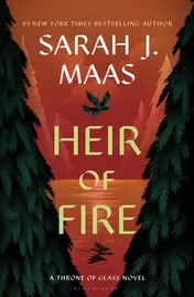 Omslag van Heir of Fire