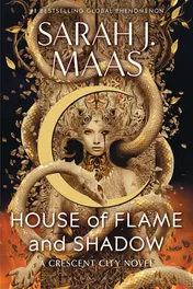 Omslag van House of Flame and Shadow