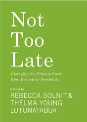 Omslag van Not Too Late Changing the Climate Story from Despair to Possibility