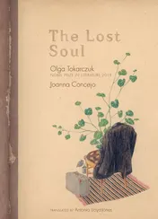 Omslag van The Lost Soul