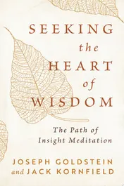 Omslag van Seeking the Heart of Wisdom The Path of Insight Meditation