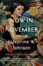 Omslag van Now in November A Novel