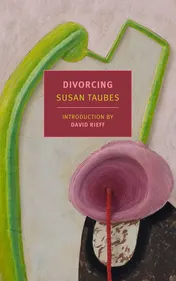Omslag van Divorcing