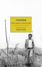 Omslag van Theorem