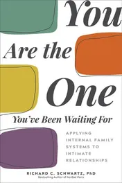 Omslag van You Are the One You've Been Waiting For Applying Internal Family Systems to Intimate Relationships