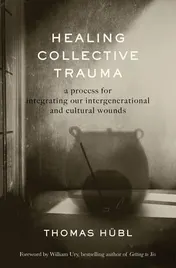 Omslag van Healing Collective Trauma A Process for Integrating Our Intergenerational and Cultural Wounds