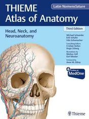 Omslag van Head, Neck, and Neuroanatomy (THIEME Atlas of Anatomy), Latin Nomenclature