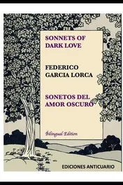 Omslag van Sonnets of Dark Love by Federico Garcia Lorca Sonetos Del Amor Oscuro