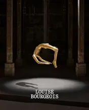 Omslag van Louise Bourgeois Has the Day Invaded the Night Or Has the Night Invaded the Day?
