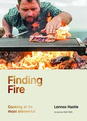 Omslag van Finding Fire Cooking at Its Most Elemental